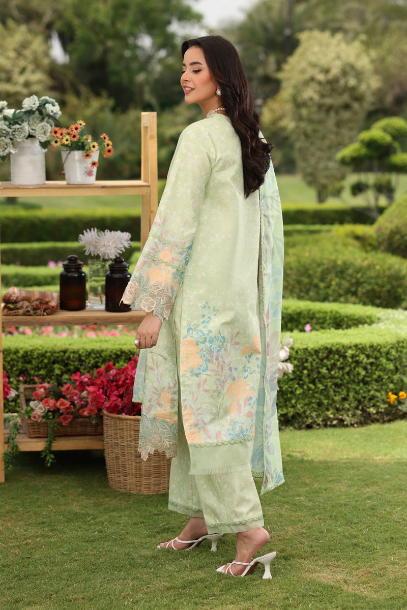 Rangrasiya | Lifestyle Summer Edit 25 | Reeha