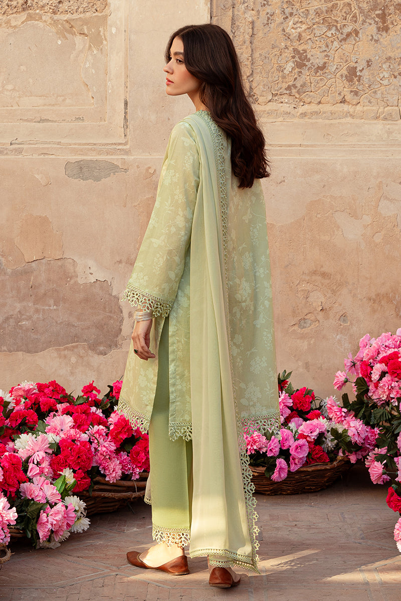 Cross Stitch | Premium Lawn 24 | MISTED GREEN
