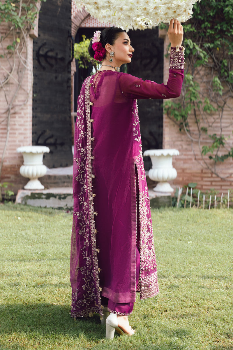 Rangrasiya | Wedding Formals 25 | Nimir