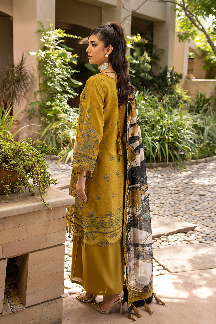 Ellena | Luxury Embroidered Collection | D17