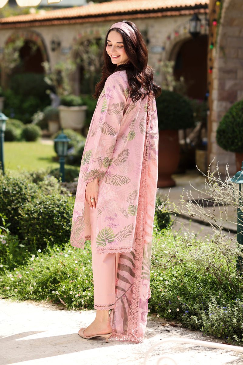 Rangrasiya | Lifestyle Summer 26 | Ivy