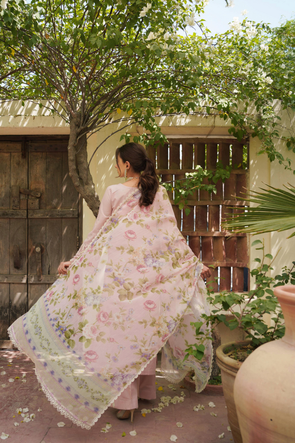 Manara | Luxury Lawn 24 | ROZAY