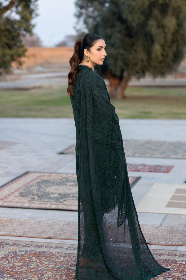 Johra | Rozeria Lawn | RZ - 154